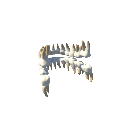 Teeth prefab